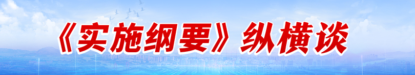 《實施綱要》縱橫談